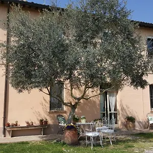 La Palazza Couette-café